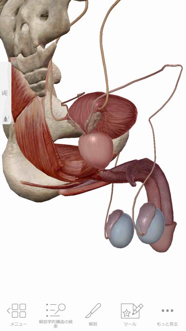 生殖器周りと聞いて。
https://t.co/Ex9ijgLySL 