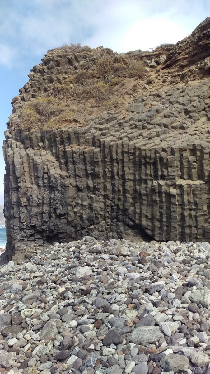 Madeline Calvert tweet media