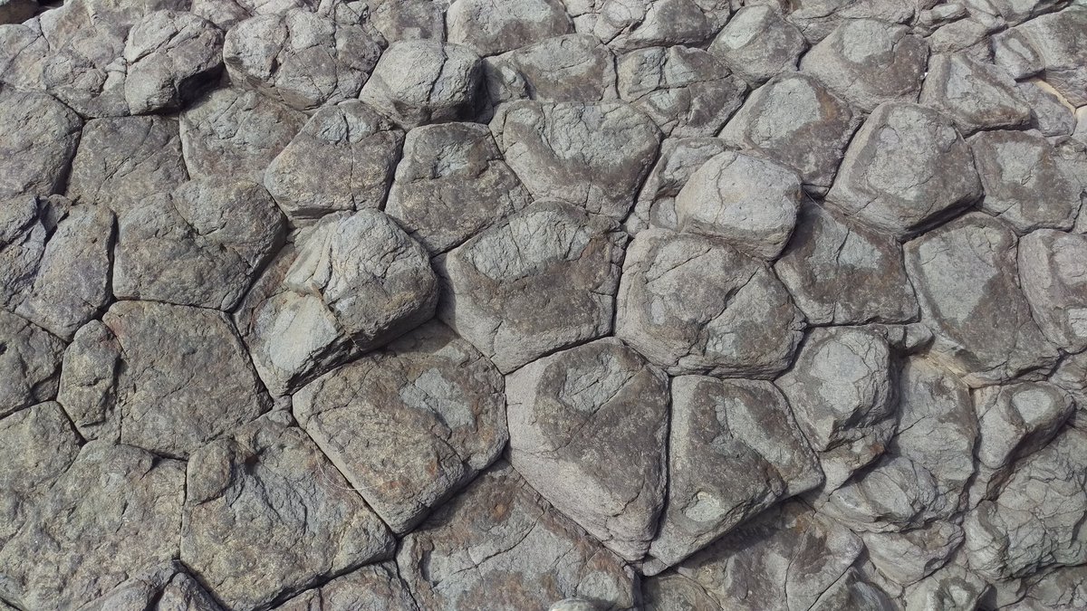 Madeline Calvert tweet media