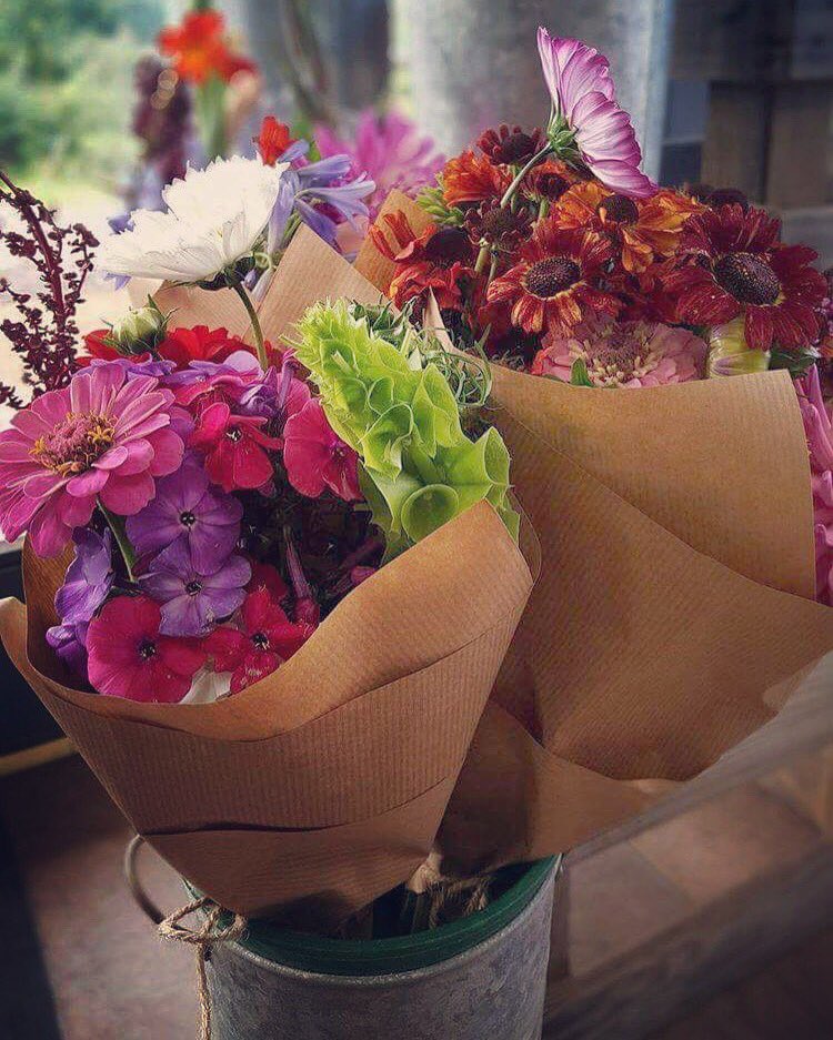Thorne's Farm Shop (@thornesfarms) on Twitter photo More beautiful #flowers from Elsie Mo, grown 17 miles from <a href="/ThornesFarmS/">Thorne's Farm Shop</a> #farmshop #locallygrown #crediton #devon #supportlocal More beautiful #flowers from Elsie Mo, grown 17 miles from <a href="/ThornesFarmS/">Thorne's Farm Shop</a> #farmshop #locallygrown #crediton #devon #supportlocal