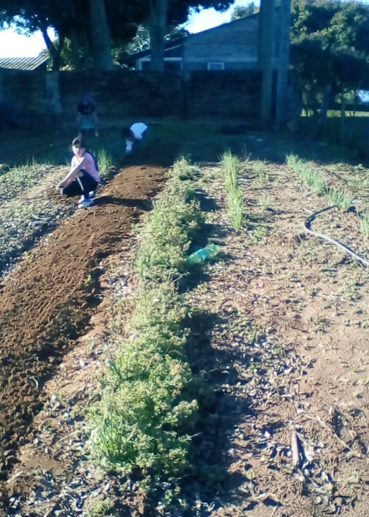 AF_INTA_CTES's tweet photo. 16/08 Reactivación d la producción c Comisión Vecinal B° Ibiraí Este, Itatí #PReTNO @prohuerta #AF https://t.co/mTC2lEJkxc
