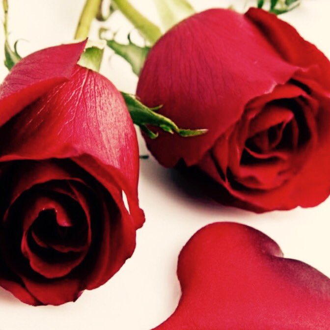 بيما اني احب الوردببثركم فيه😄😍😍😘 #اليوم_العالمي_للتصوير