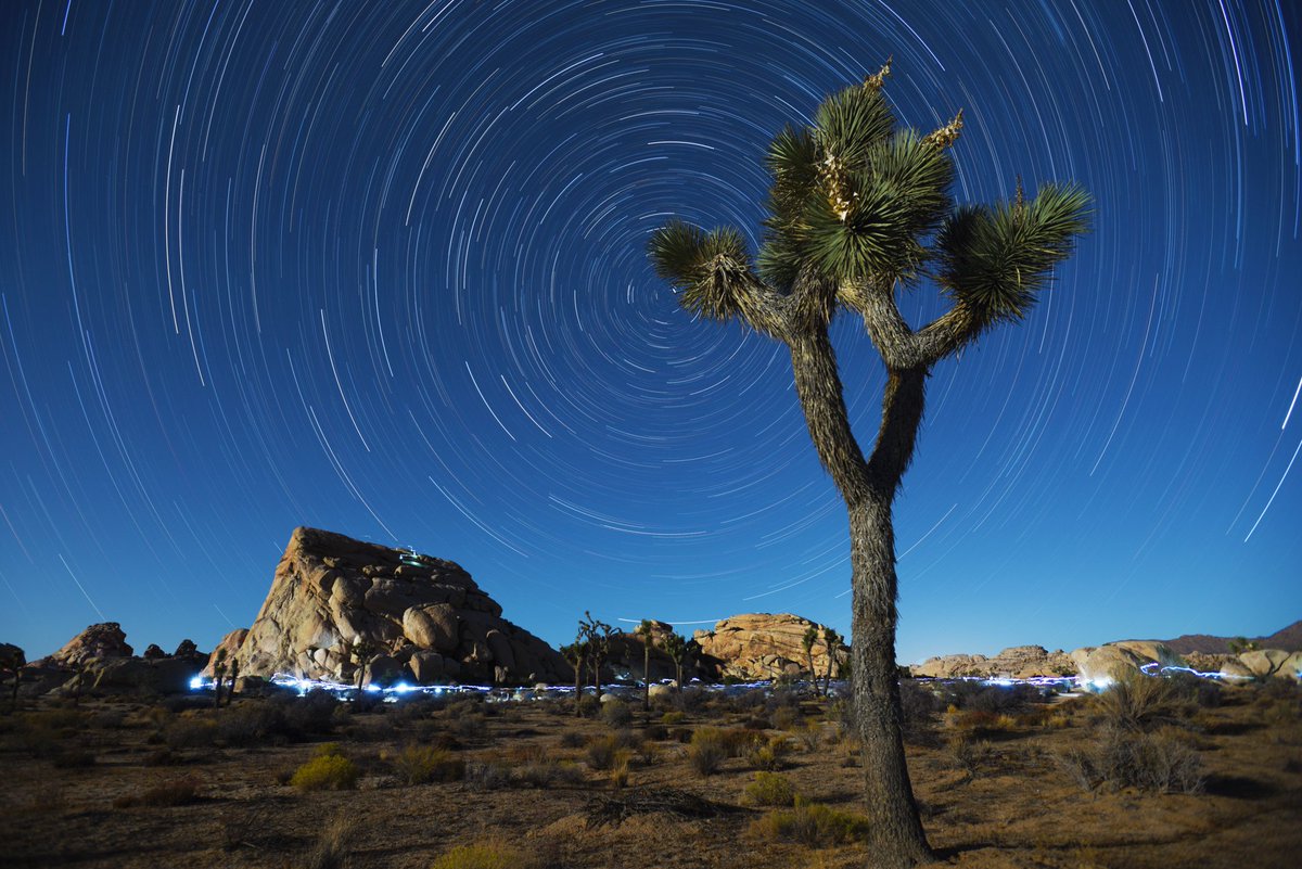 JoshuaTreeNPS's tweet photo. Happy #WorldPhotoDay! Joshua Tree is a #photography paradise. Today we celebrate by looking at a few favorite photos. #WorldPhotographyDay https://t.co/RhA0GYCR5o