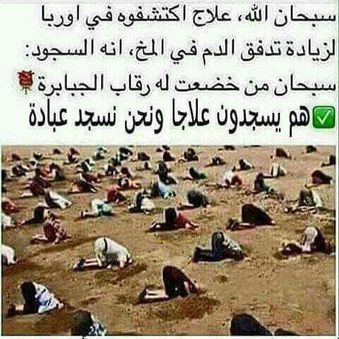 #اليوم_العالمي_للتصوير