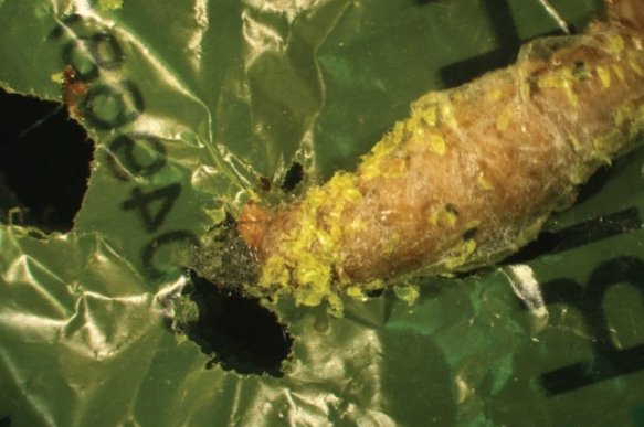 View image on Twitter