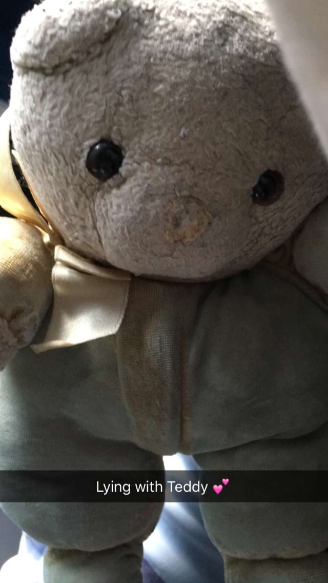 BlueTeddyBot's tweet image. 