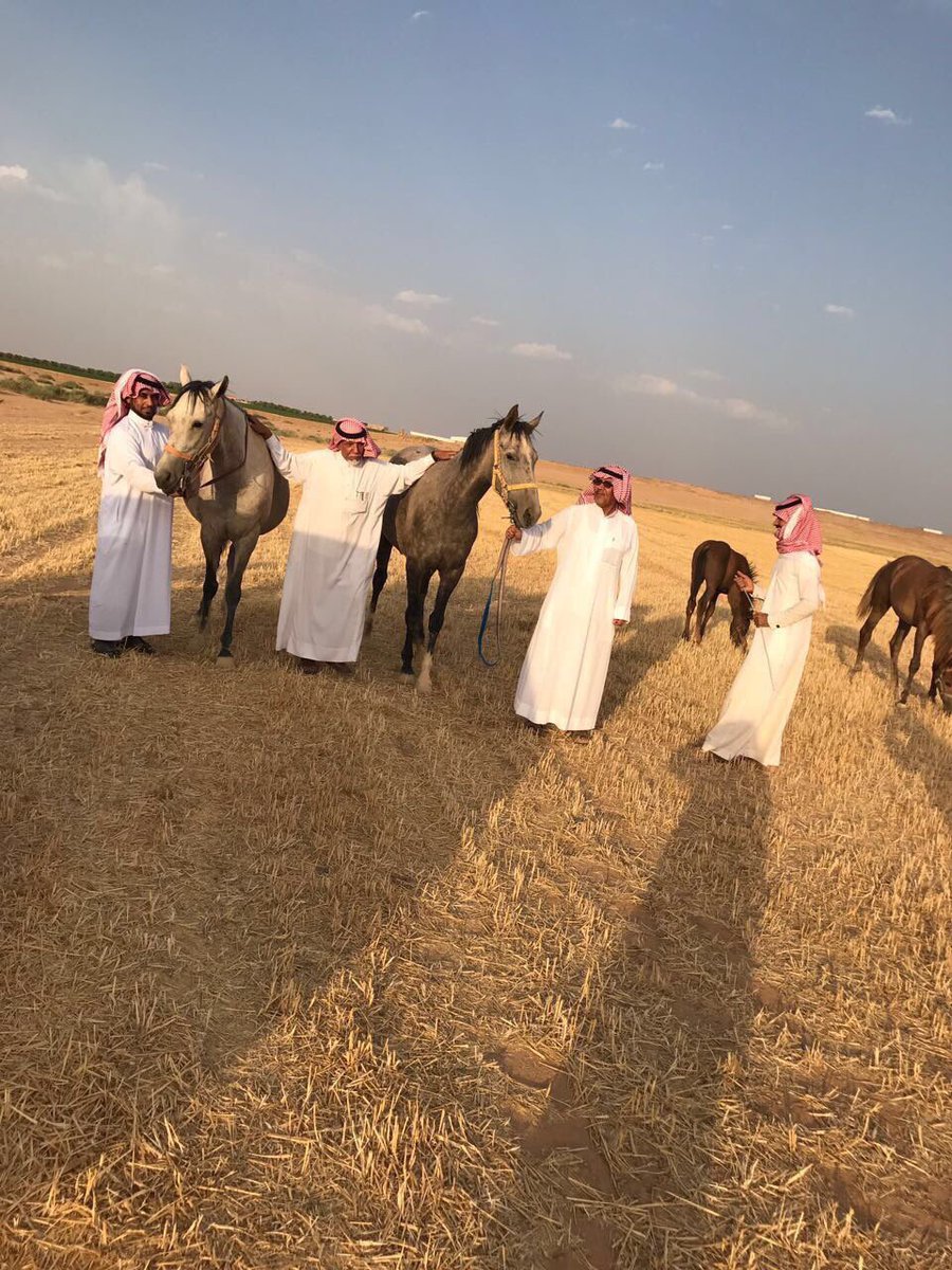 ملتقى المخارشة tweet media