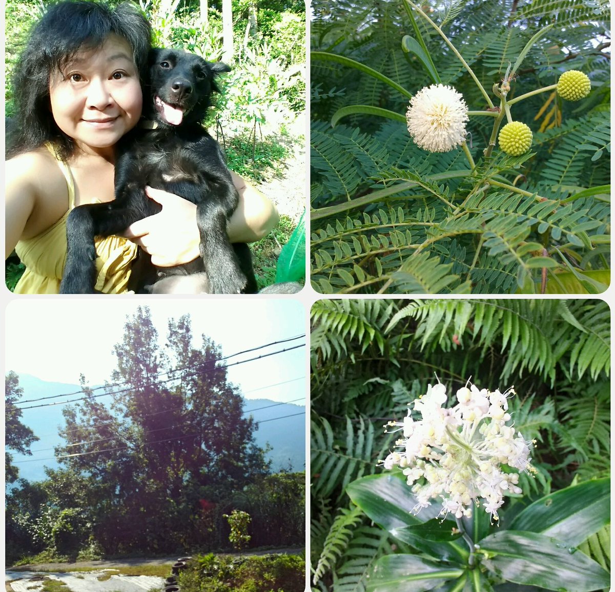 ( 一切美好 ) 周日愉快！親愛的朋友們！活在當下，用心感受自己及世間萬物！