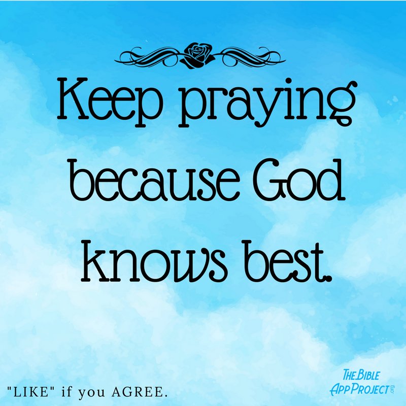 BibleAppProject's tweet image. #Jesus knows best. 😊🙏

Please say Amen and Pass On 🙏❤

Follow: instagram.com/the.bible.app.…

#BibleQuotes #BibleVerses #Inspiration #Christians