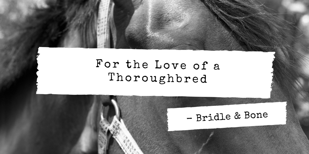 timidrider's tweet photo. Thoroughbreds are versatile and athletic. Find out what we all have to say about this breed: https://t.co/Yk2KbkqBPf #BoostYourBlog10K https://t.co/mZfjhINN8G
