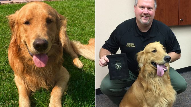 Schiller Ranch (@SchillerRanch) | Twitter