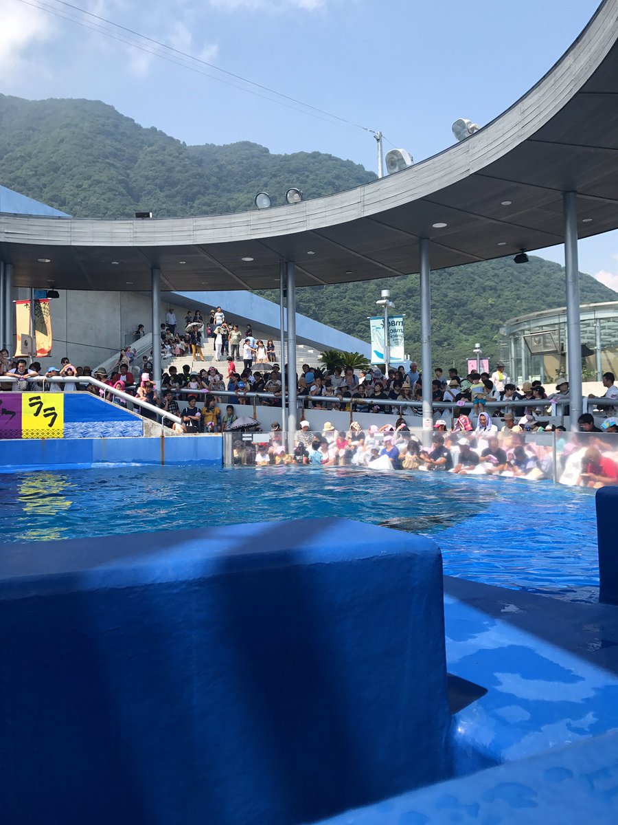 jiyon1122's tweet photo. うみたまご！ https://t.co/knB1sYlUsN