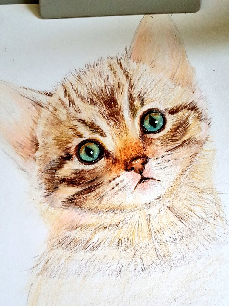 sese688's tweet photo. 고양이 색연필 그리기 
귀염귀염 반려동물 그리기 많이들 좋아하시더라구요~저도 한컷~!
#인물화 #색연필화 #색연필 #유성색연필 #프리즈마 #원데이클래스 #대전 #취미 #성인미술 #드로잉 
#대전공방 #공방 #인물화기초 #손그림
#동물그리기 #고양이 https://t.co/TE29bW7Hlp