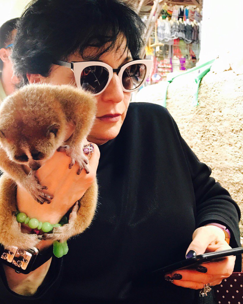 When your daughter, who is sick in bed, texts you while holding a lemur!