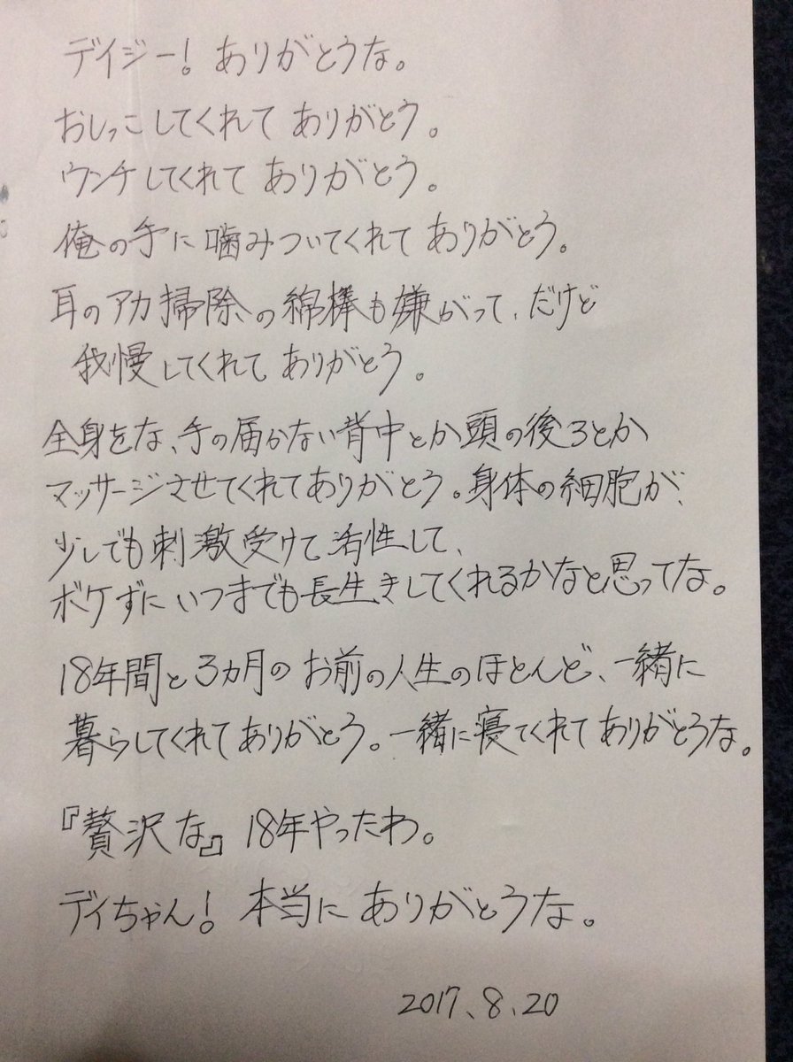 不滅の恋人 病院の診察室は吹き抜けで声がまる聞こえなのと 安楽死はすぐに済むそうなので 家で愛猫に最後のお別れの気持ちを言葉で伝えました 抱きしめるのは息苦しいと思って 抱えて身体をさすってあげて すべての人に感謝です T Co