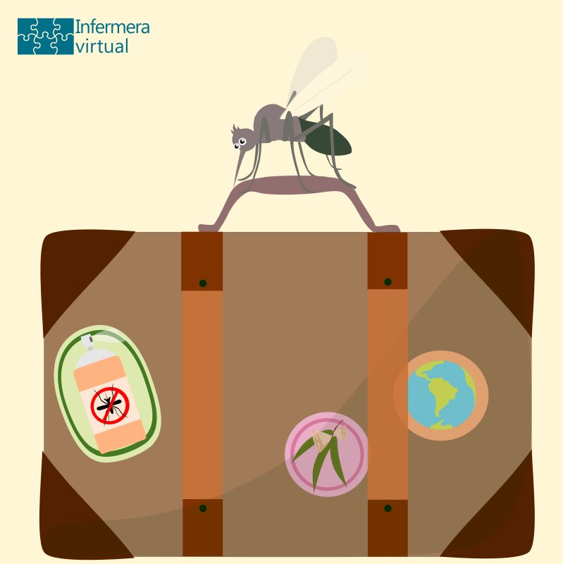 infermeria's tweet photo. El #repelentedeinsectos, indispensable en tu #maleta de #viaje. https://t.co/t3Jvn7pnyE #travel #viajeros #DíaMundialMosquito #verano https://t.co/jCejqIOpj1