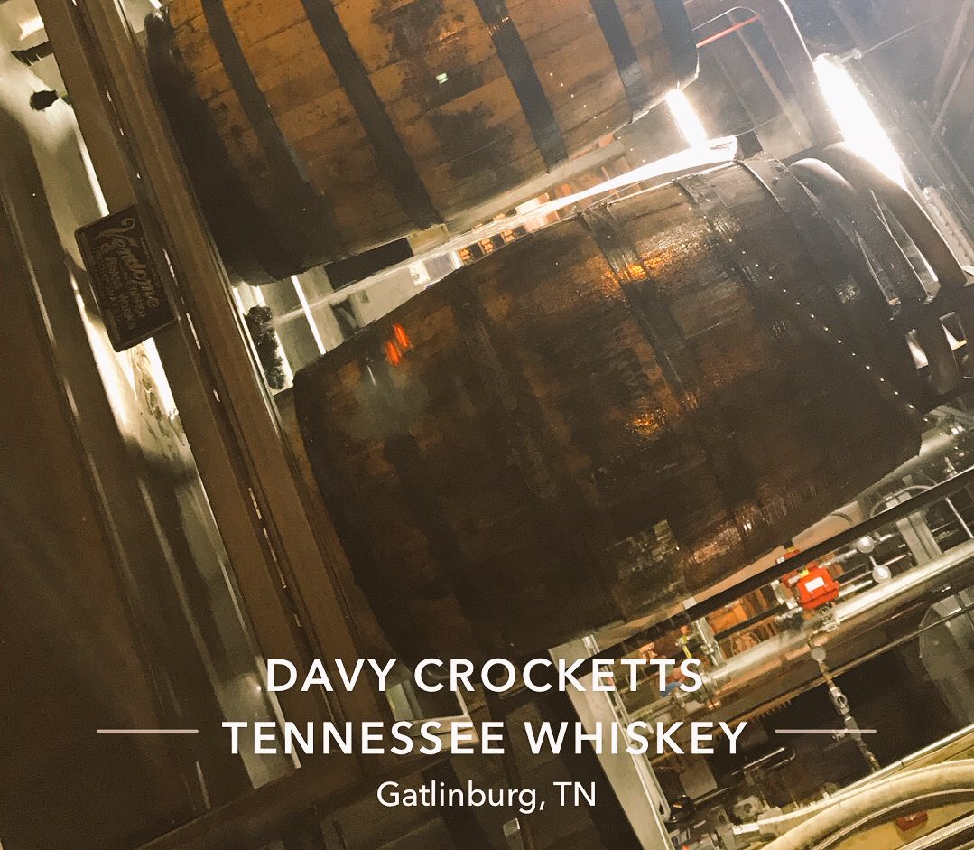_brookax's tweet image. Get your shine on! #davycrocketts #moonshine #history