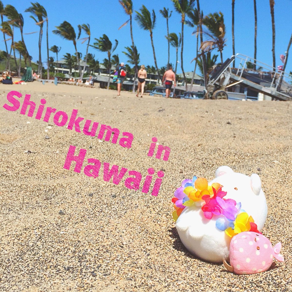 sumikko_335's tweet photo. 【🌻8月たびきぶん🍉】しろくまと一緒にハワイ旅🐠 #すみっコ写真部 https://t.co/Zlbpuck88U