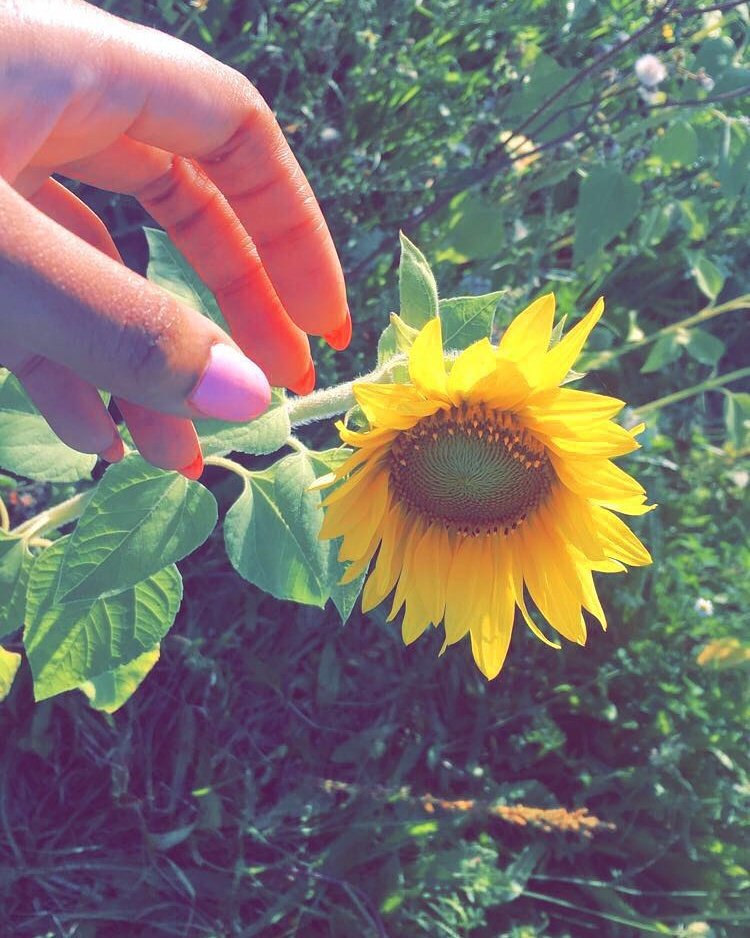 melaninspired's tweet photo. A little don't worry, be happy 🌻🌱 https://t.co/iQueariYXO