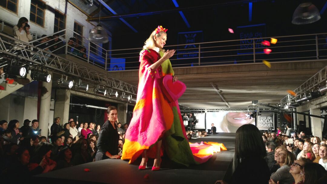 Viñedos Mas Austral tweet media