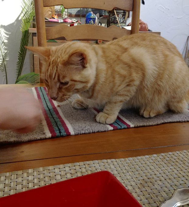 Juice!!!!!!!!! 😍 https://t.co/qqmTNnAazQ