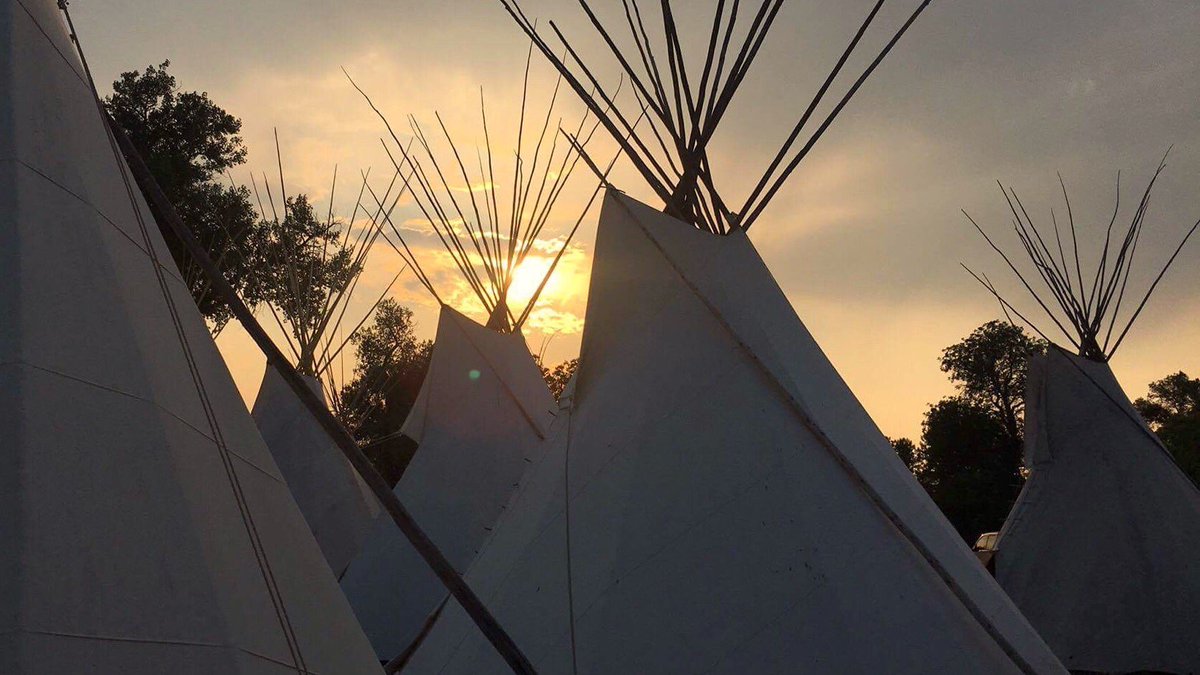 cameraandlight's tweet image. Crow country today 📽