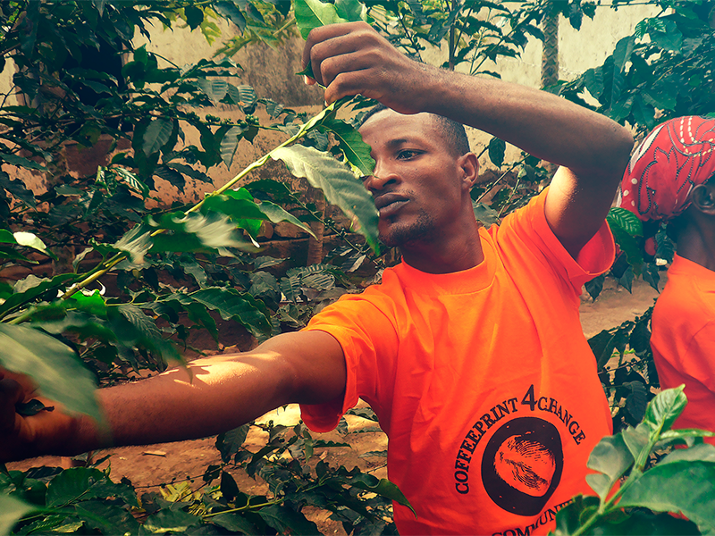 IBAventures's tweet photo. From 'fair trade' to 'Impact Trade' - Read @ImpactRoasters 's interview on their work with Ethiopian coffee farmers: https://t.co/vcyLR65xa0 https://t.co/xUU6Z8zJ8c