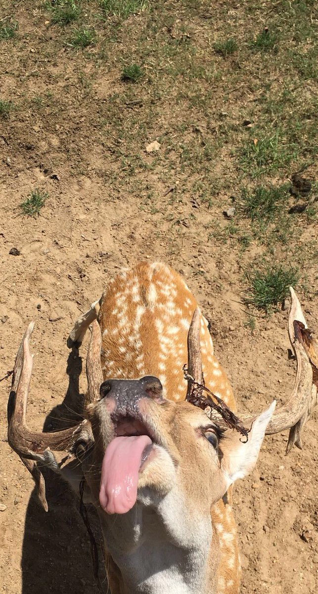 CollinSandel's tweet photo. Open for surprise! https://t.co/cwRrmw4Rab