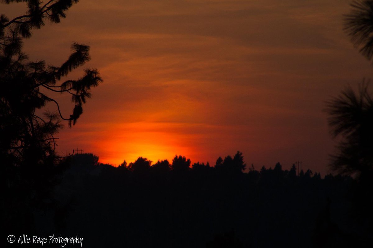 AllieRayeMedia's tweet photo. #spokanesunset #nocolorcorrection #nophotoshop #allierayephography @KREMJane #mobiussciencecenter @KREMLindsay @KREMBriana https://t.co/JrziiVWgq2