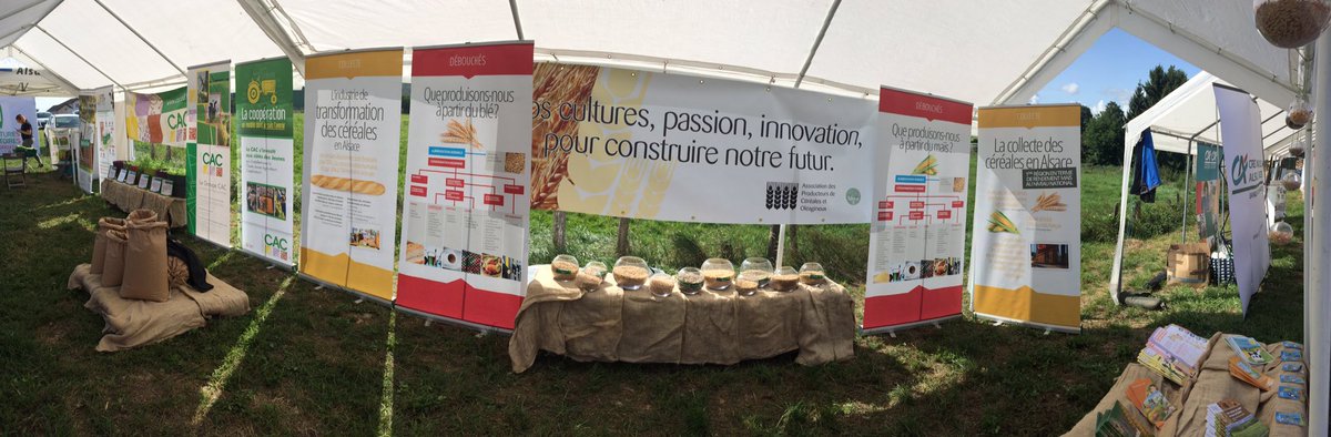 Patoon68's tweet photo. #ConcourDeLabour @JeunesAgri #Sundau présence de l #APCO avec les collecteurs de grains présents. Énergie de demain nait dans nos champs! 😃 https://t.co/wJ8kSoJ5p9