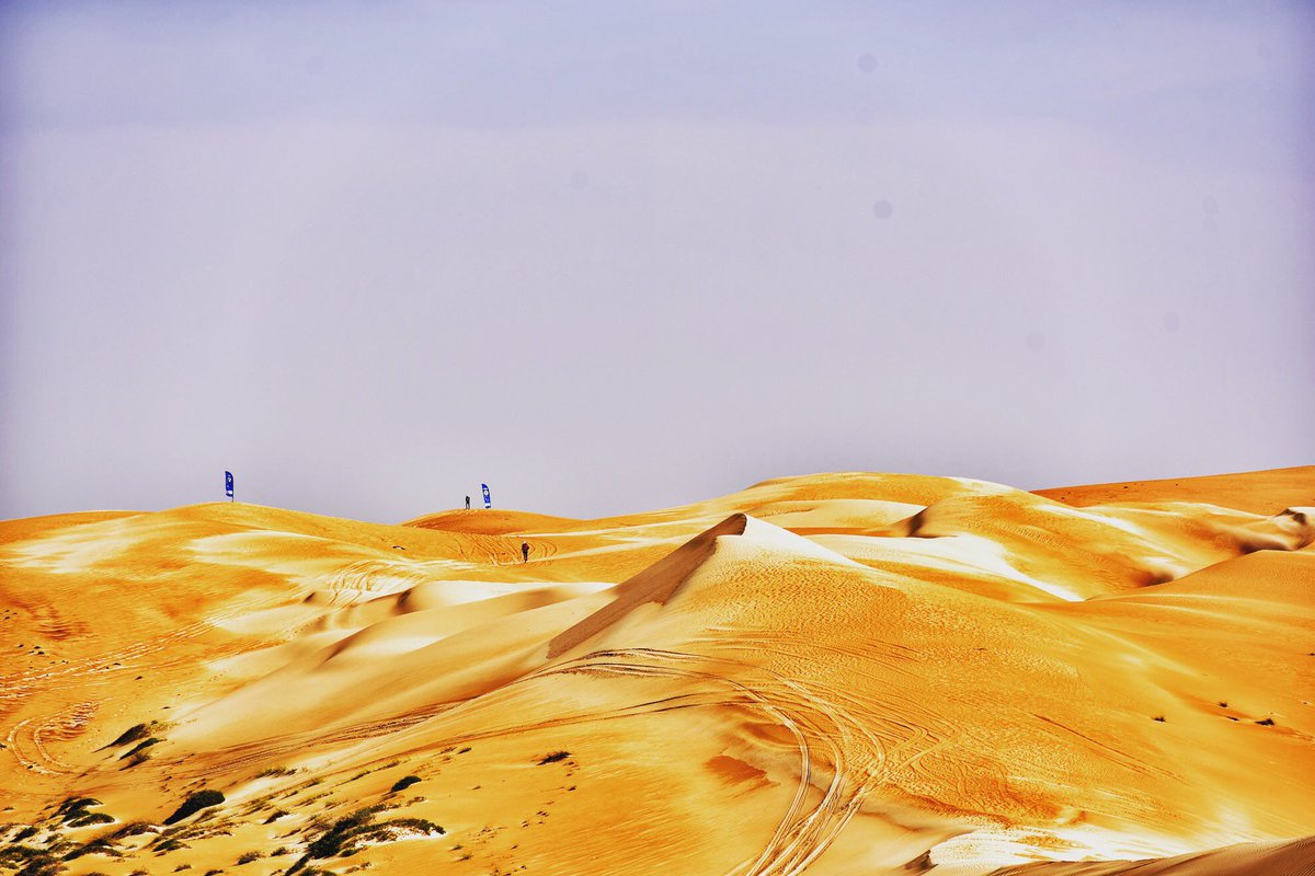 каракум туркменистан. каракумы пустыня. заунгузские каракумы. туркмения пустыня каракум. каракум и кызылкум.