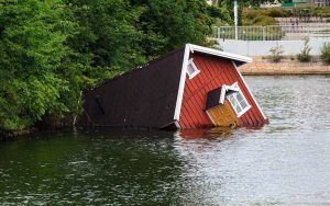 quickdryexperts's tweet photo. Your Guide To Surviving Water Damage From Natural Disasters https://t.co/7G31UWsnFS https://t.co/kwBI9jg3JO