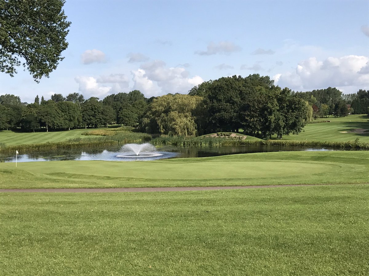 Steve Maguire tweet media