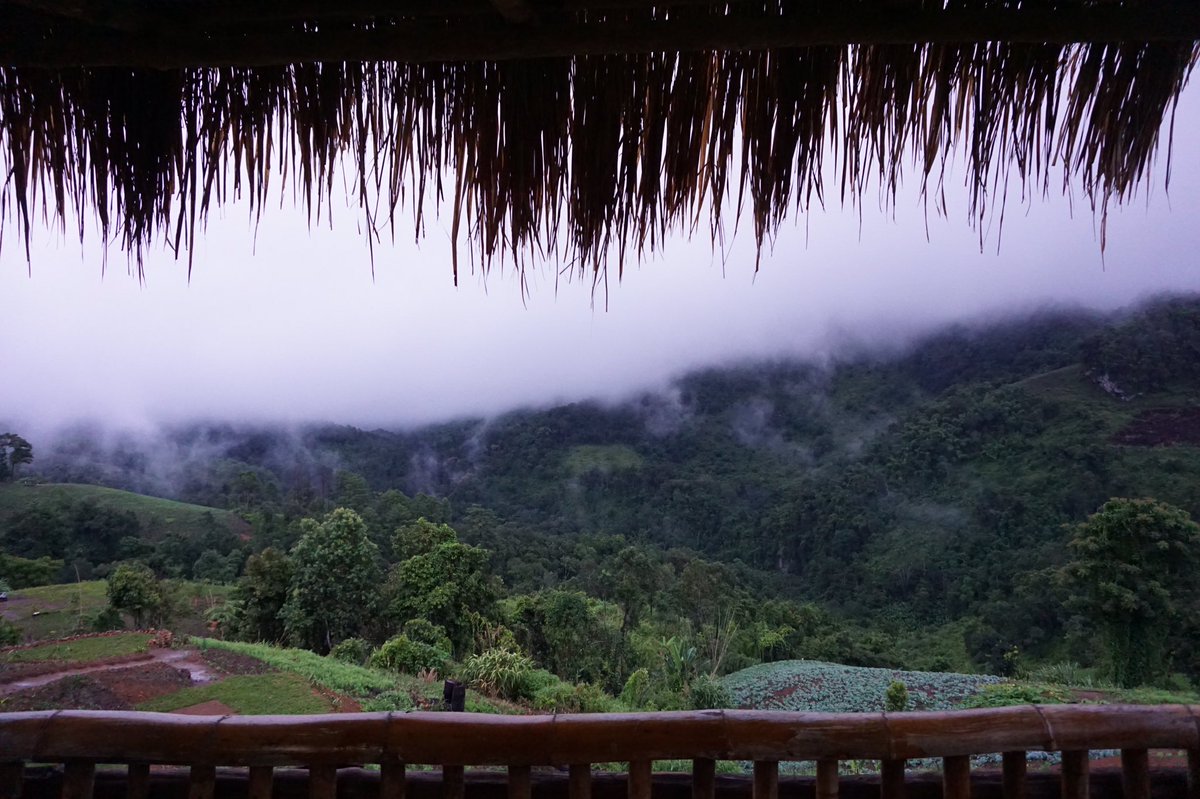 zii_wnk34's tweet photo. #ดอยเชียงดาว หมู่บ้านที่ไม่มีไฟฟ้า homestay คืนละ 500 อาหารฟรี 2 มื้อ ตอนเช้าหมอกมาหาหน้าบ้าน #reviewchiangmai #chiangmai https://t.co/el4vbn1vQh