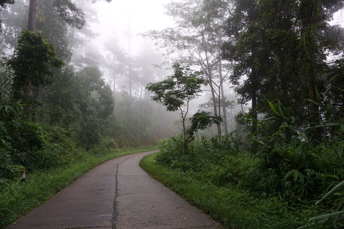zii_wnk34's tweet photo. #ดอยเชียงดาว หมู่บ้านที่ไม่มีไฟฟ้า homestay คืนละ 500 อาหารฟรี 2 มื้อ ตอนเช้าหมอกมาหาหน้าบ้าน #reviewchiangmai #chiangmai https://t.co/el4vbn1vQh