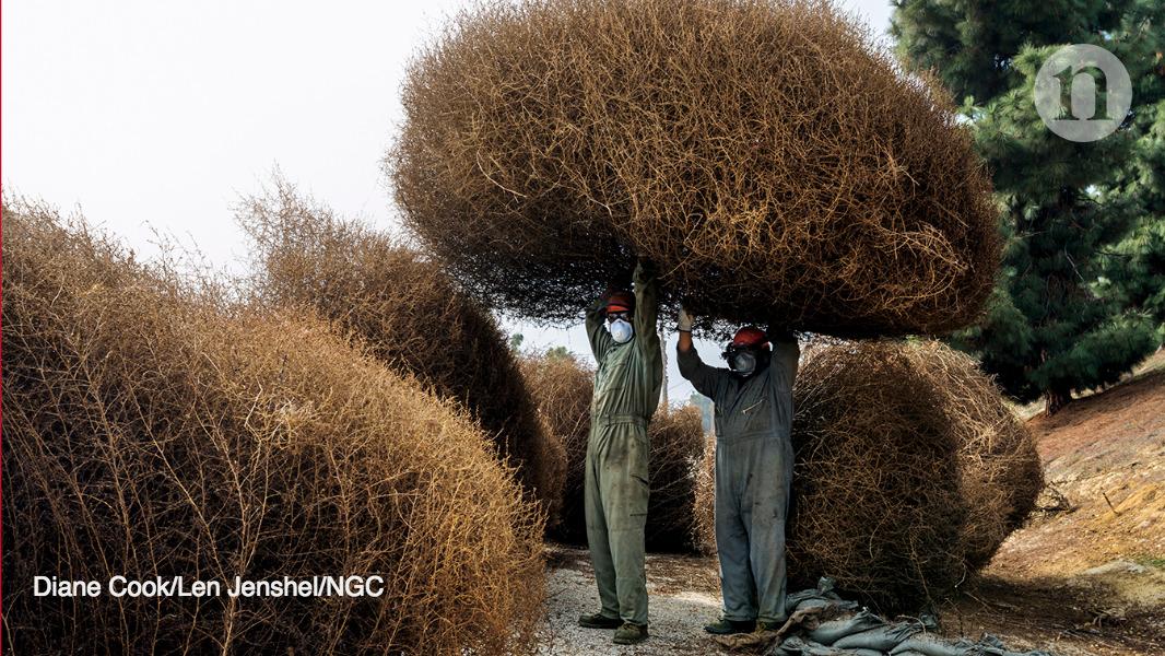 Nature's tweet photo. California scientists sketch out plans for a home-grown climate-research institute: https://t.co/EnMyV748iN https://t.co/UyNSZw2TtO