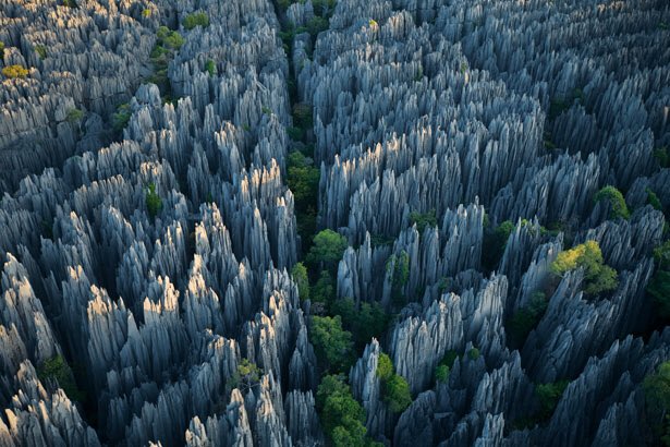 i_strauta's tweet photo. The famed #StoneForest South #China Karst, a #UNESCO #WorldHeritage site #amaizingworld #lovetotravel #travelpreneur #vacation #holiday https://t.co/Ro6CnT7Iir