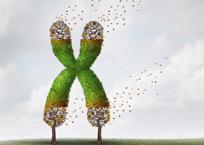 DrugTargetRev's tweet photo. Two-step process leads to #cell #immortalisation and #cancer @UCBerkeleyNews #urll RT https://t.co/IzsXFx8HGa