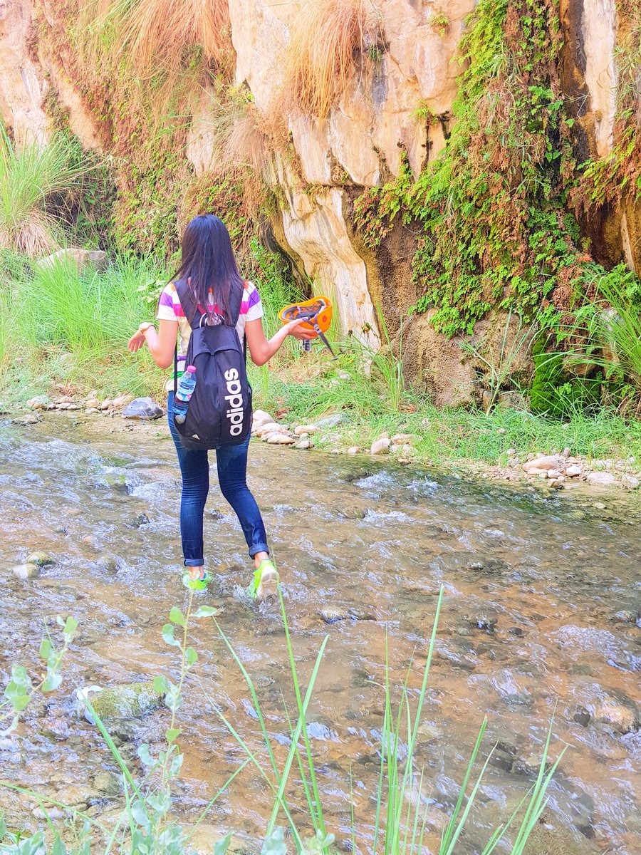 s_hiary's tweet image. #رفاهيه_بالاردني انك تزور وديان و جبال و سهول الأردن وقتها بتعرف معنى الرفاهية ❤🇯🇴
#صيف_الأردن_أحلى 🌼🌻