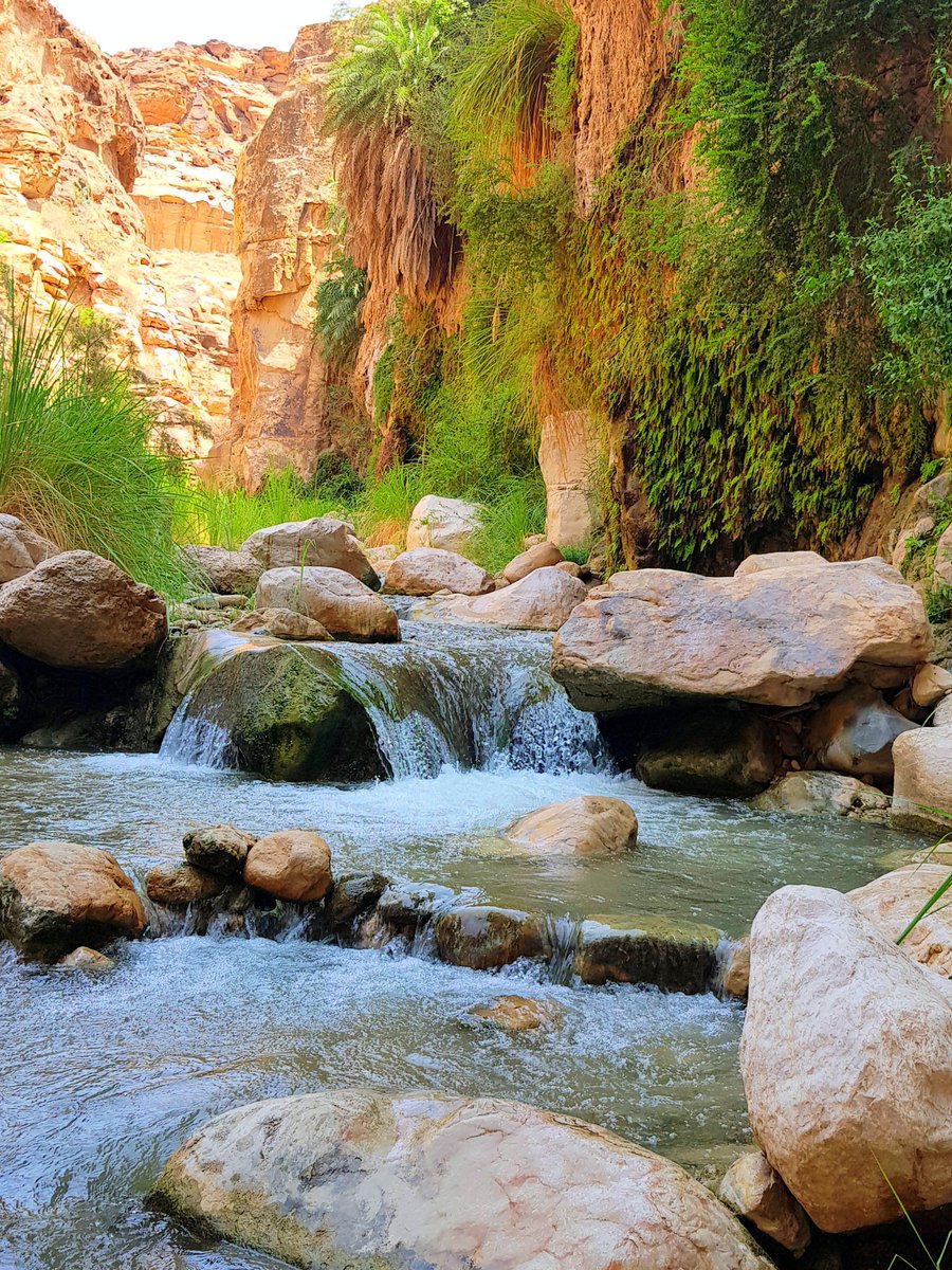s_hiary's tweet image. #رفاهيه_بالاردني انك تزور وديان و جبال و سهول الأردن وقتها بتعرف معنى الرفاهية ❤🇯🇴
#صيف_الأردن_أحلى 🌼🌻