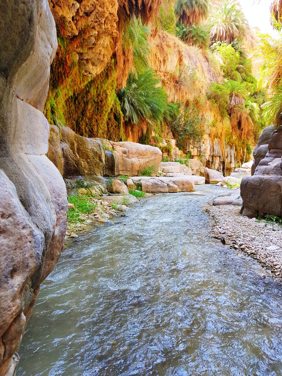 s_hiary's tweet image. #رفاهيه_بالاردني انك تزور وديان و جبال و سهول الأردن وقتها بتعرف معنى الرفاهية ❤🇯🇴
#صيف_الأردن_أحلى 🌼🌻