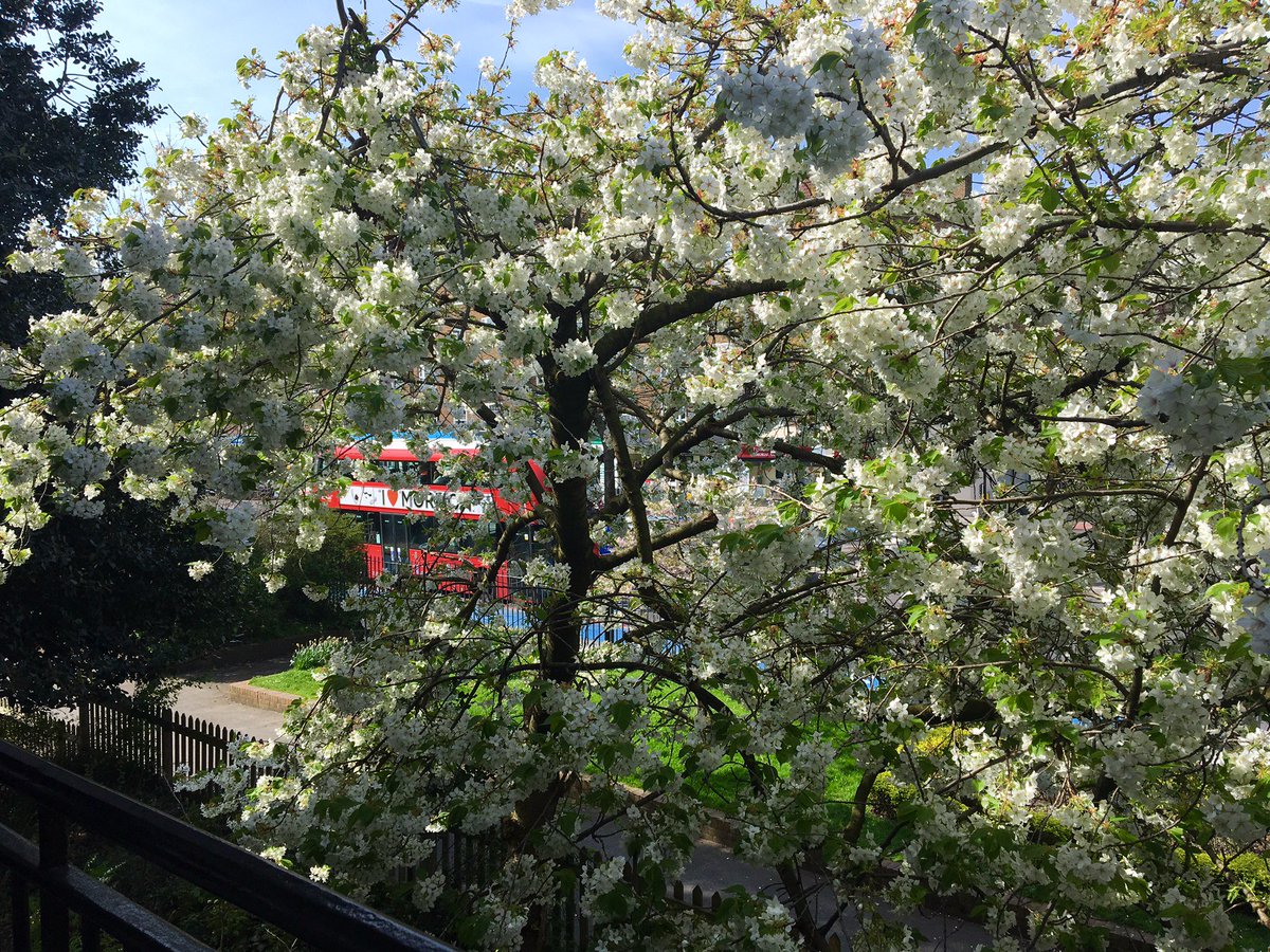 8/10 people now live in cities, we need our green spaces more than ever before. Find out more about their benefits ow.ly/JOrD3047l77