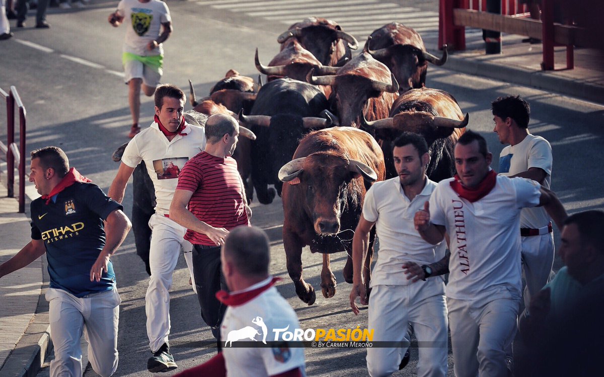 Hoy la fiesta del encierro se vive en Alfaro (La Rioja). 18 toros, 6 encierros de ida y vuelta. Y encierro de becerras!
⏱ 19h
📌 ALFARO