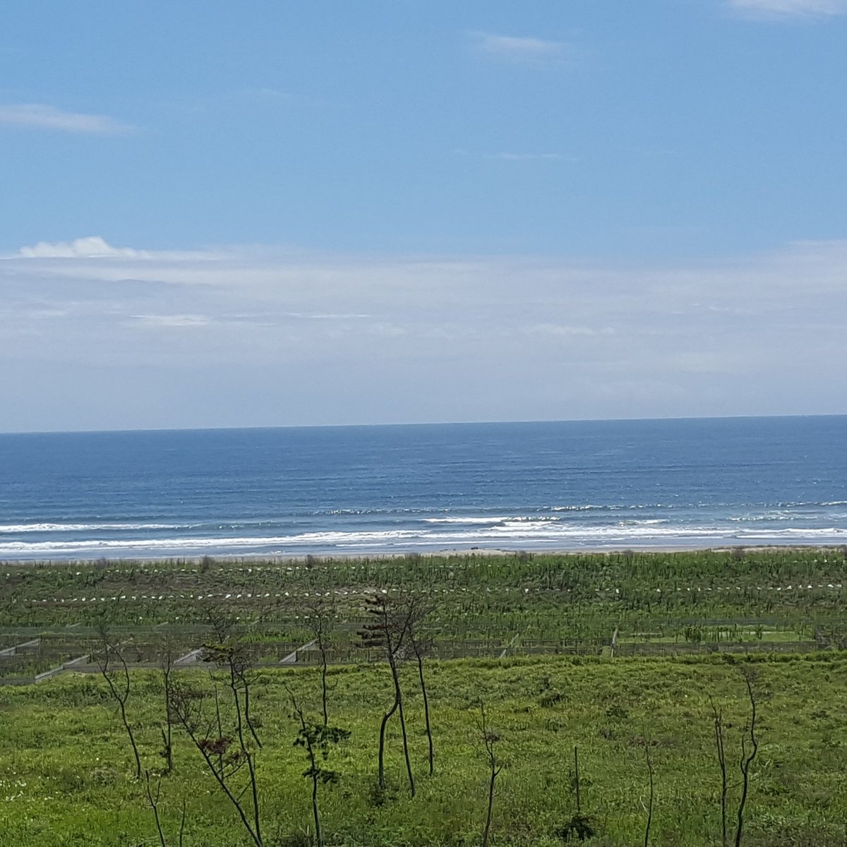 蓮沼海浜公園 蓮沼ウォーターガーデン7 18 営業開始 スプラッシュシェイカーの乗り場からの風景 蓮沼ウォーターガーデン プール 海 九十九里 出入り自由 やきはま 有名