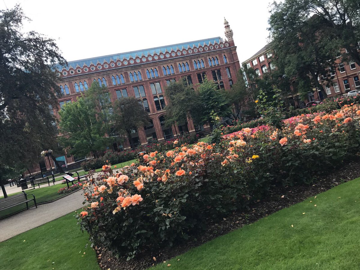NCSTeamWard_9's tweet photo. Shows Leeds to be ambitious yet classy ☀️☀️☀️ #NCS #Leeds9 #Ultimatechallenge #NCSUltimatechallenge https://t.co/pcu9S8pmzL