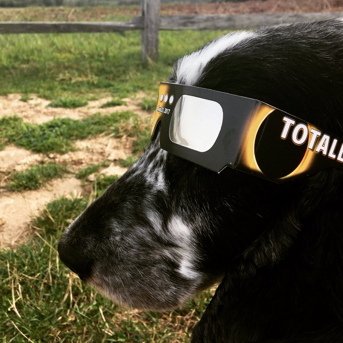 CapeCodNPS's tweet image. Use only ISO-certified viewers/filters to protect your eyes during the eclipse. Safer yet? Use an indirect method,like pinhole projector.