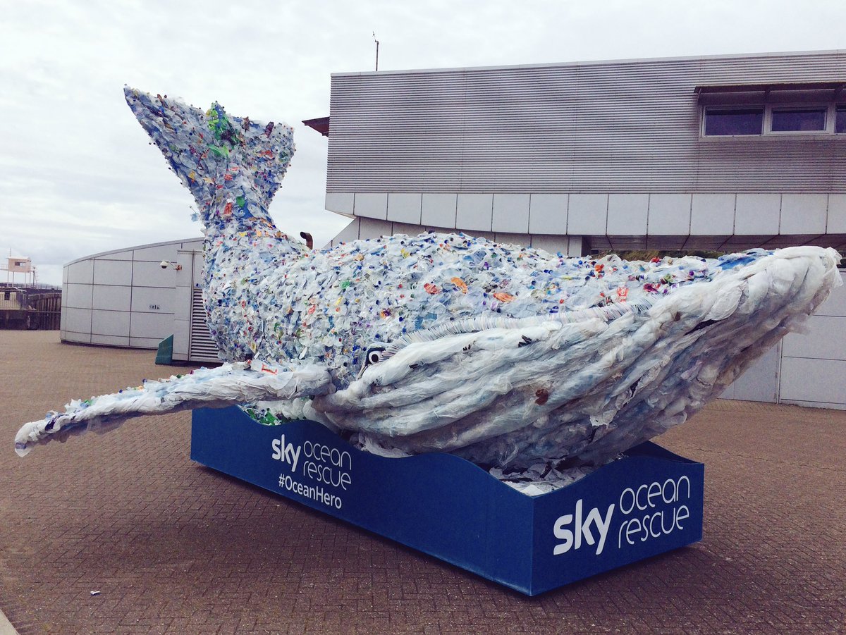 Keep_Wales_Tidy's tweet photo. 8 million tonnes of #plastic pollutes our oceans every year. We can all play a part in changing this #OceanHero https://t.co/mvjgDGyuB3