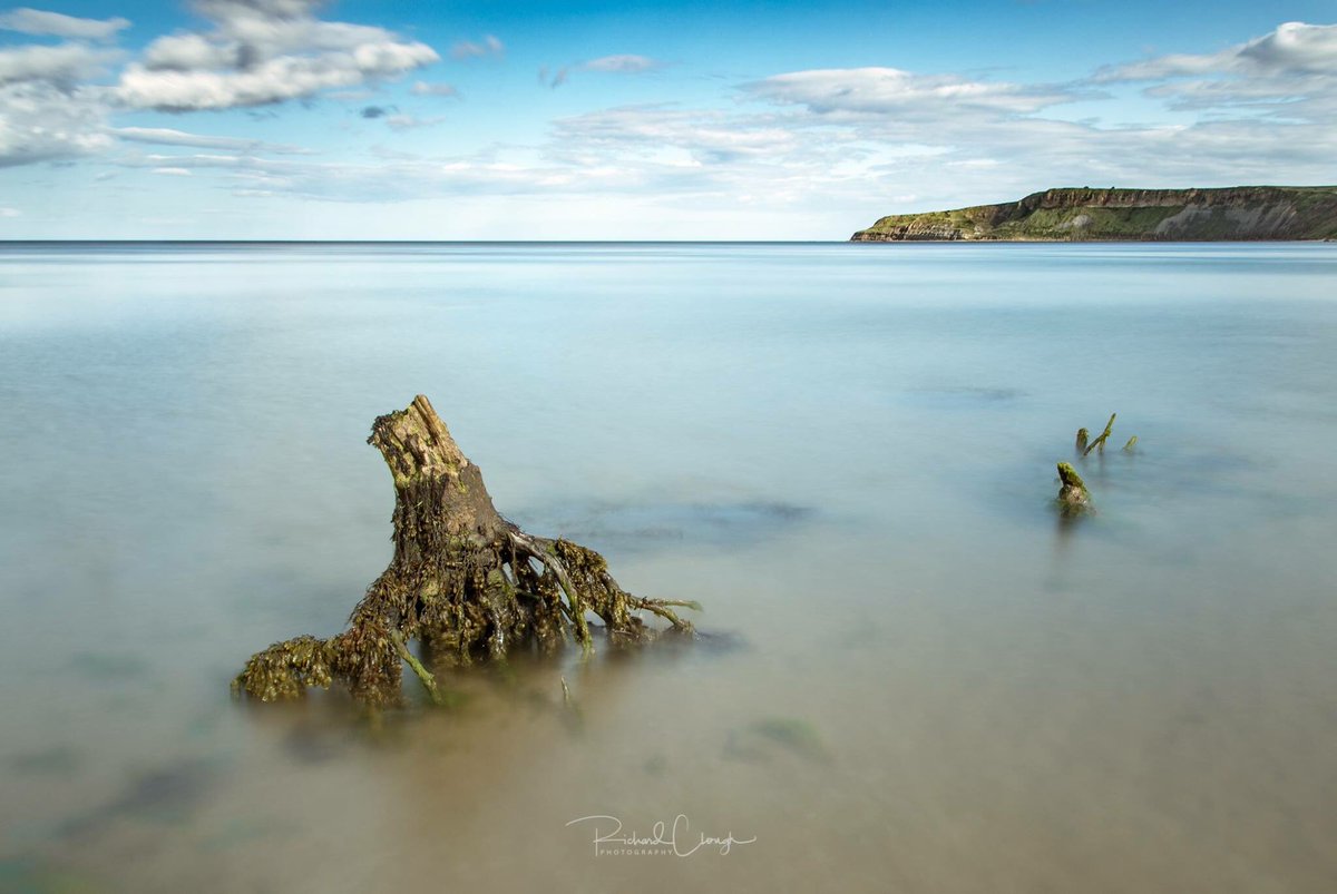 RichardClough1's tweet photo. Anther composition form Cayton Bay with the @SigmaImagingUK 17-50 2.8 and the @LEEFilters little stopper @UKNikon @manfrotto_uk https://t.co/VwBt2st5sK