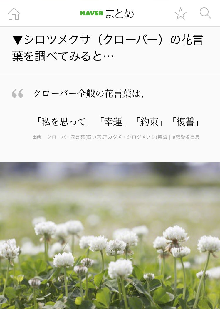 さめ いま Gf黒執事最新話を読んだんだけど 冒頭に シロツメクサの約束を ってあったからちょっと調べてみたら くそ面白かった坊ちゃん好き さめ いま Gf黒執事最新話を読んだんだけど 冒頭に シロツメクサの約束を ってあったからちょっと調べてみたら くそ面白かった坊ちゃん好き