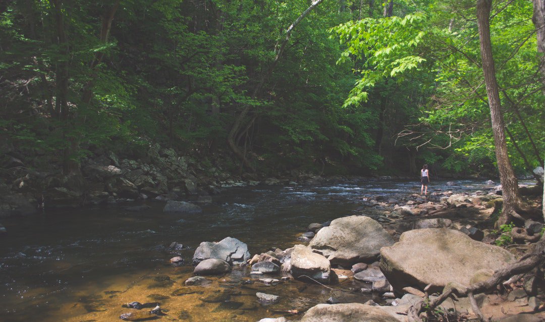 scotthsimmons's tweet image. Photo By Khürt Williams | Unsplash 
 #managementtrainee #managementdeldolorepostoperatorio #managementmodel